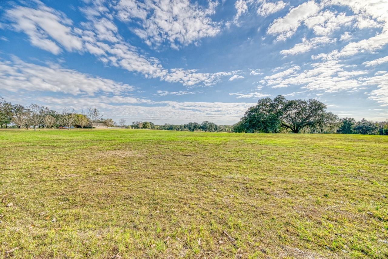 1161 Northwest Jersey Road Madison, FL 32340 - Photo 4 of 18