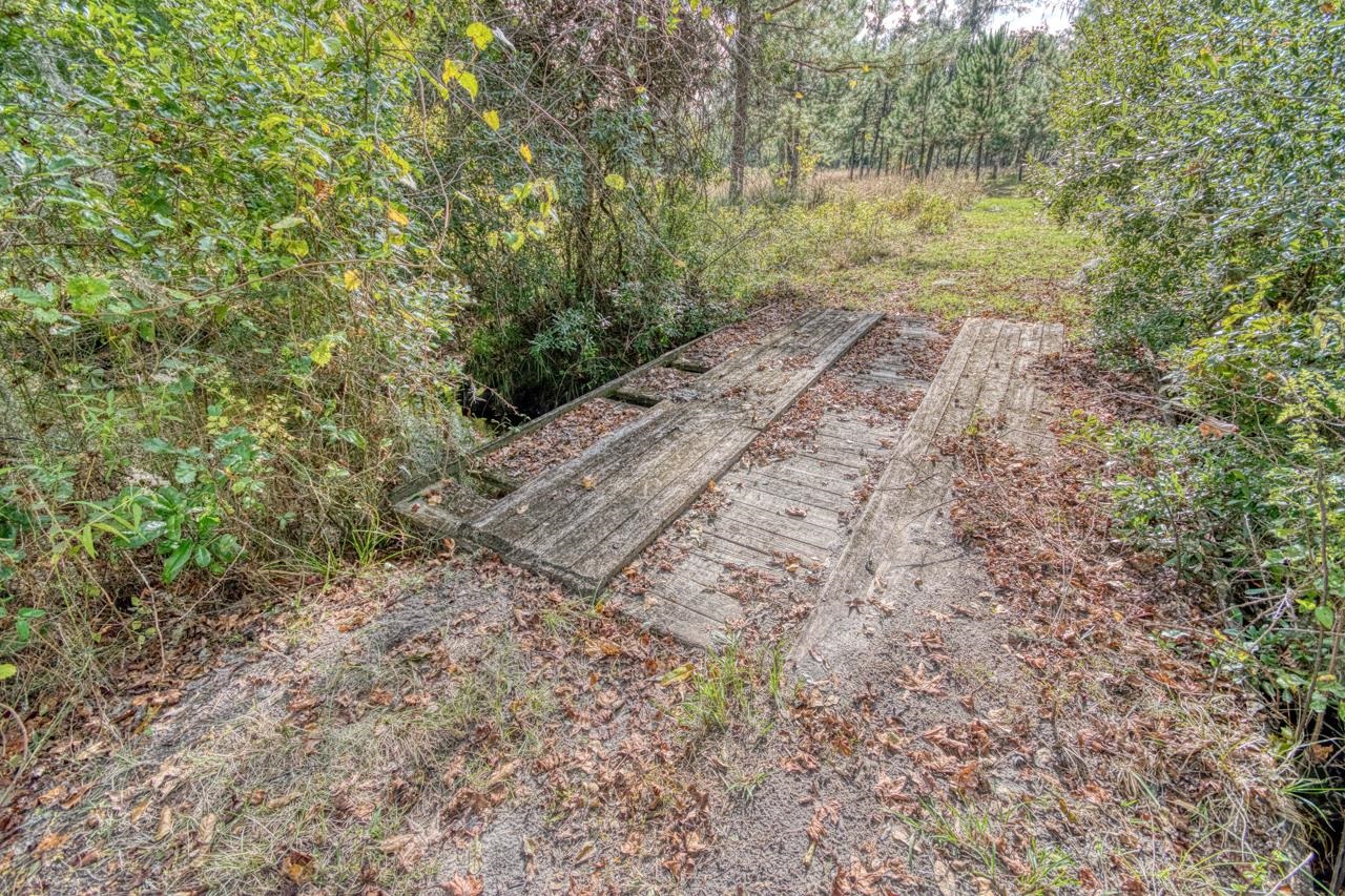 1161 Northwest Jersey Road Madison, FL 32340 - Photo 6 of 37