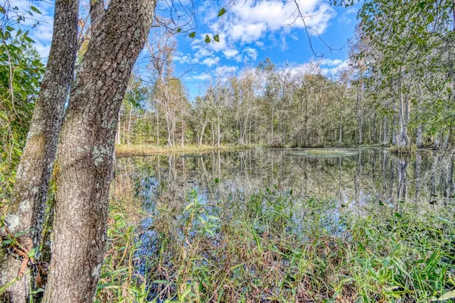 $1,295,000 | 1161 Northwest Jersey Road, Madison, FL 32340
