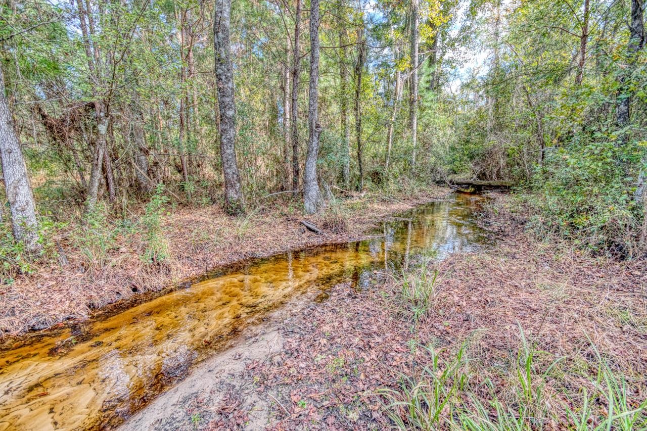 1161 Northwest Jersey Road Madison, FL 32340 - Photo 8 of 37