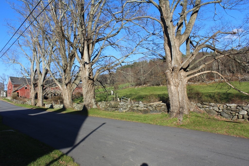 Lot 5 Prouty Road Hardwick, MA 01037 - Photo 7 of 10 Gallery Image 7