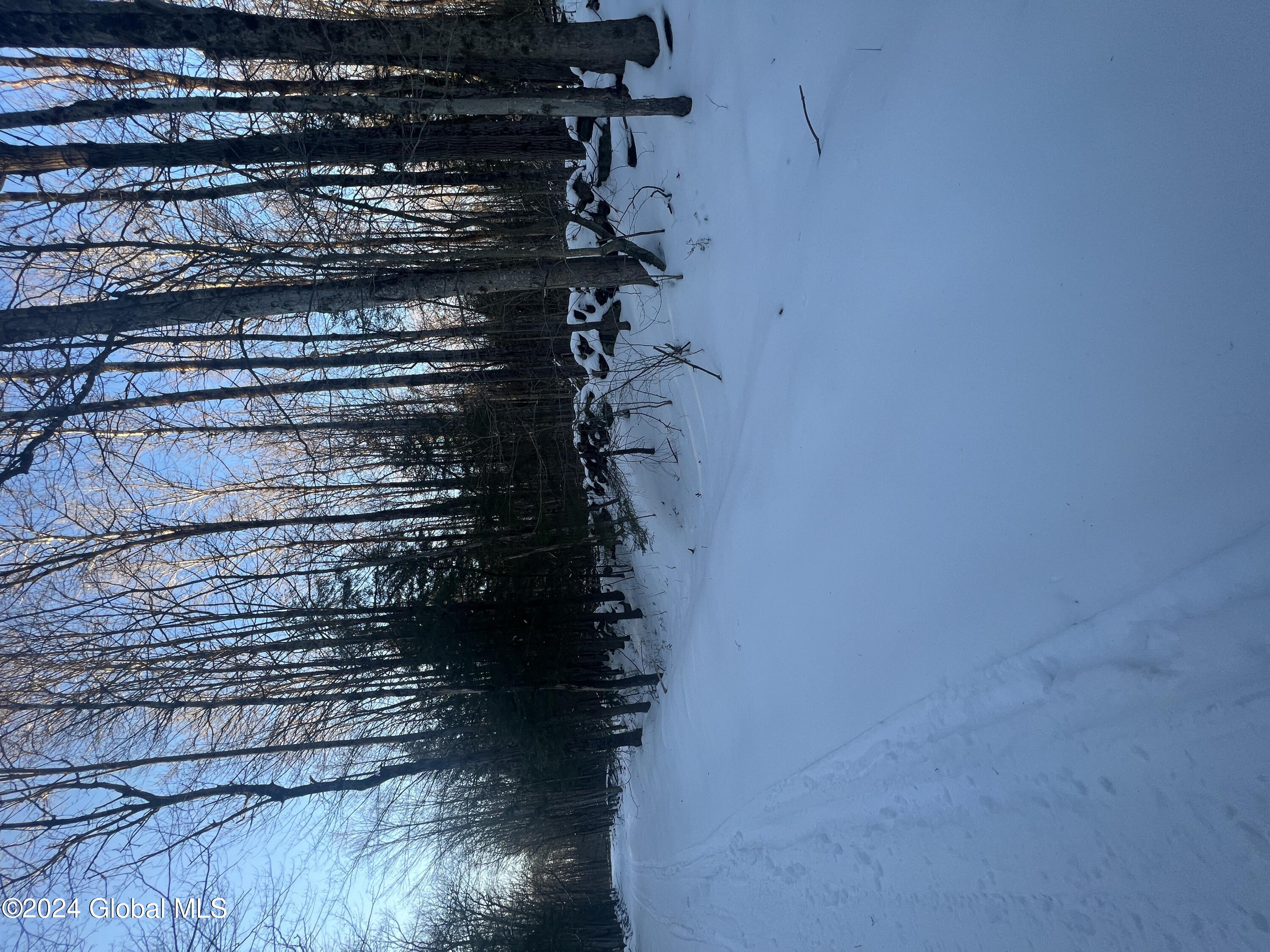 L11 Fical Road St. Johnsville, NY 13452 - Photo 2 of 5 Road View