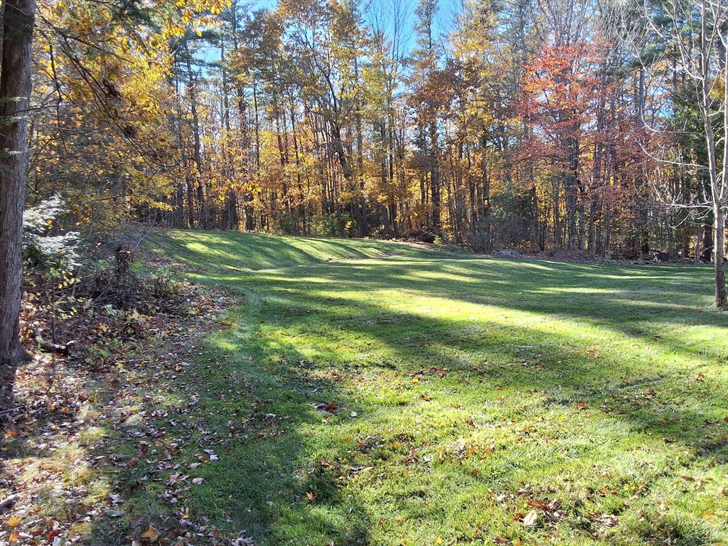 103 Barre Road Oakham, MA 01068 - Photo 10 of 26 a garden view with lots of trees