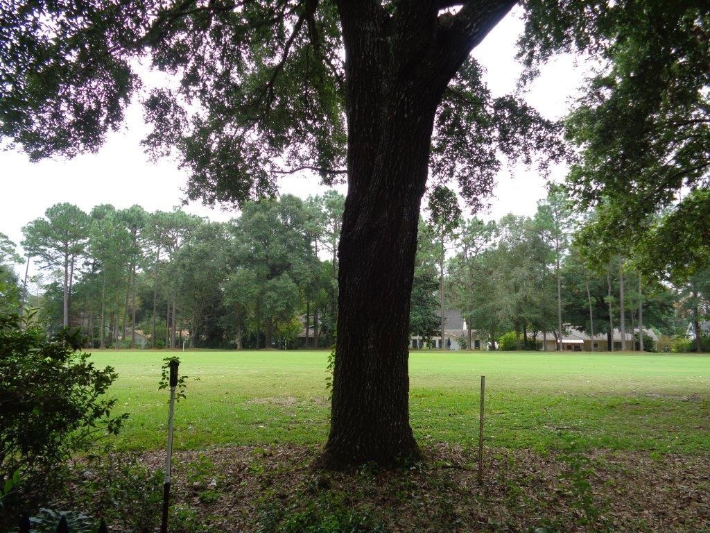 119 Dewitt Loop Daphne, AL 36526 - Photo 24 of 26