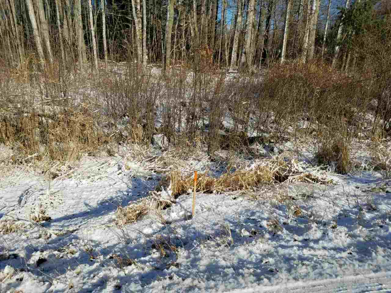 Lot 6-58-5 Lane Road Derry, NH 03038 - Photo 1 of 4