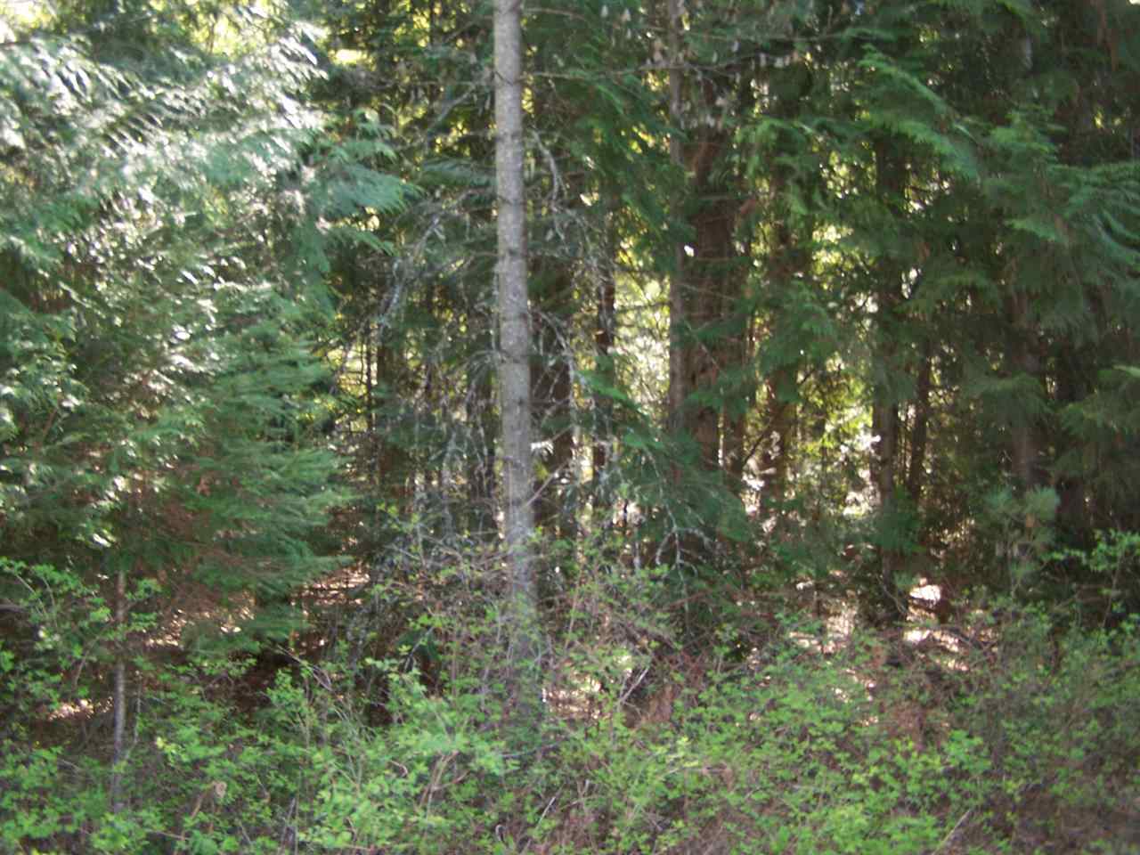 444 North Trestle Road Ione, WA 99139 - Photo 17 of 18 Gallery Image 17