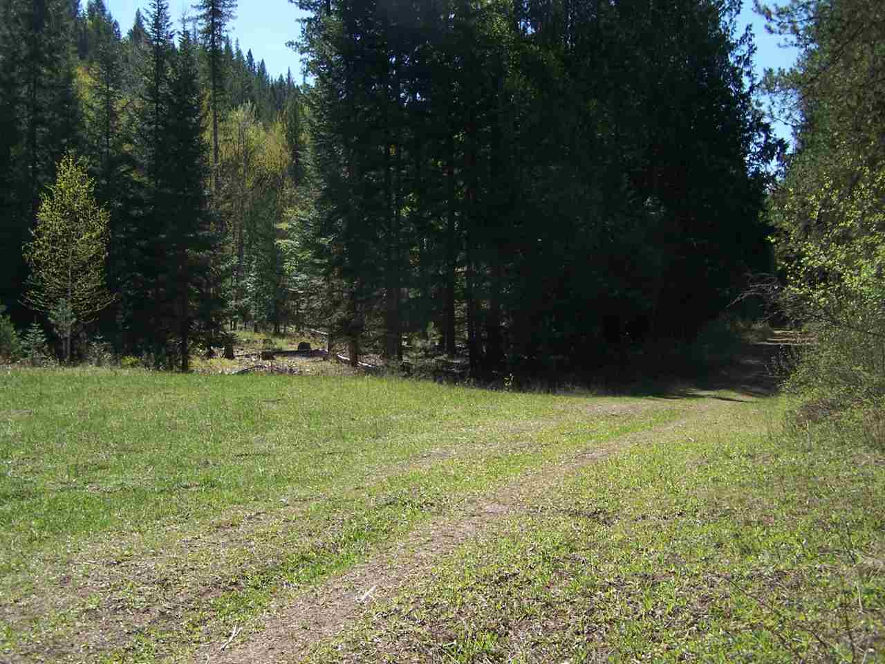 444 North Trestle Road Ione, WA 99139 - Photo 4 of 18 Gallery Image 4