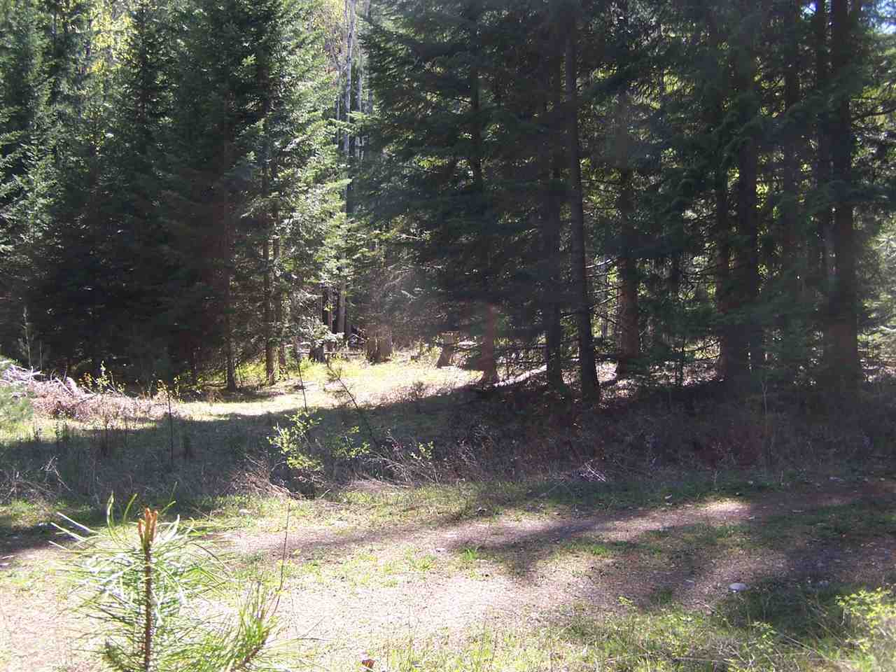 444 North Trestle Road Ione, WA 99139 - Photo 8 of 18 Gallery Image 8