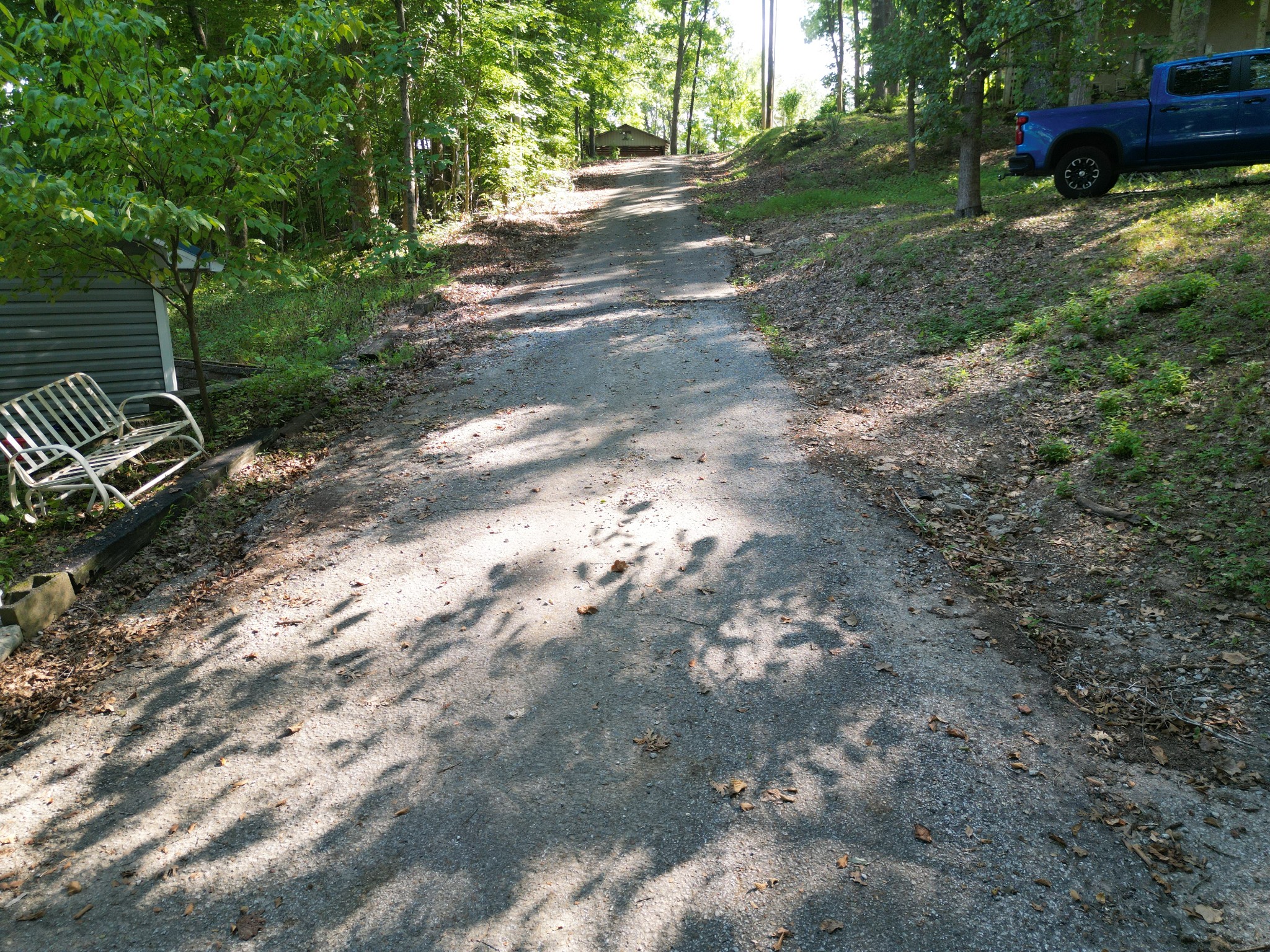 159 Hanklochte Drive Decaturville, TN 38329 - Photo 31 of 39 a view of a yard with plants and large trees