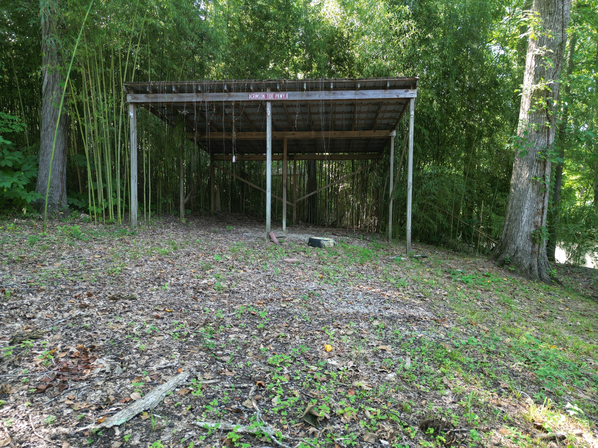 159 Hanklochte Drive Decaturville, TN 38329 - Photo 32 of 39 a view of outdoor space and deck