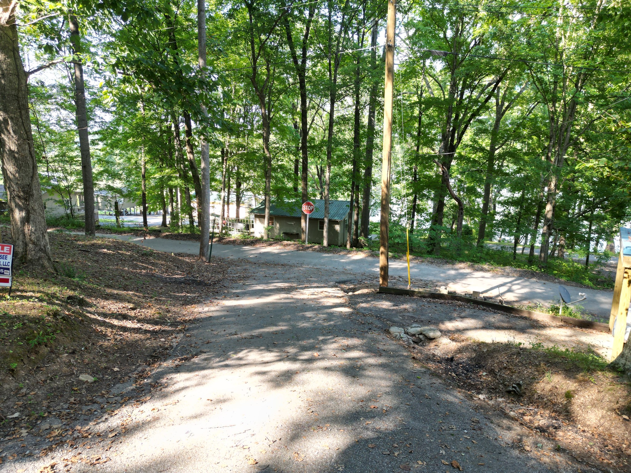 159 Hanklochte Drive Decaturville, TN 38329 - Photo 34 of 39 a view of a tree in the middle of a yard