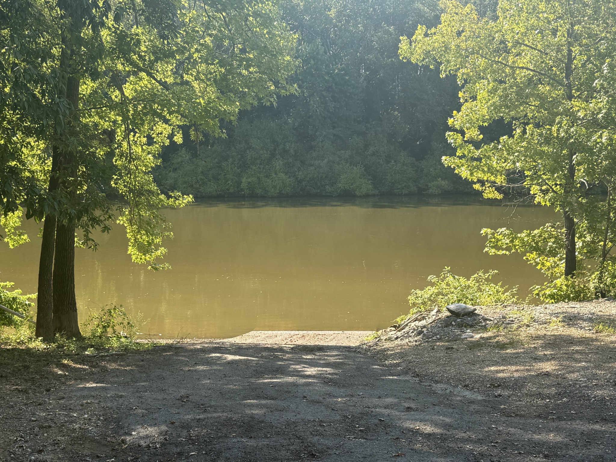 159 Hanklochte Drive Decaturville, TN 38329 - Photo 36 of 39 a view of a lake with a yard