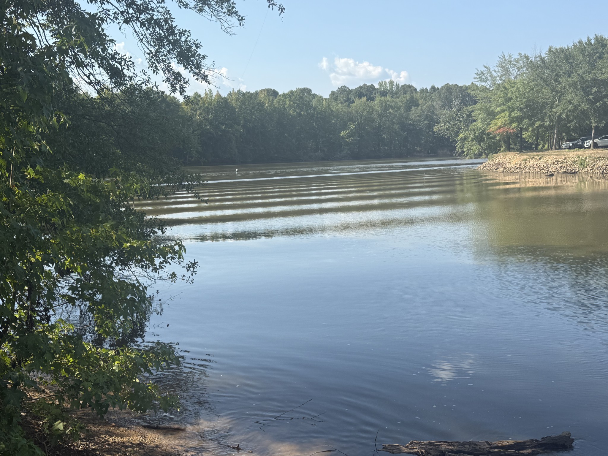 159 Hanklochte Drive Decaturville, TN 38329 - Photo 38 of 39 a view of lake with green space