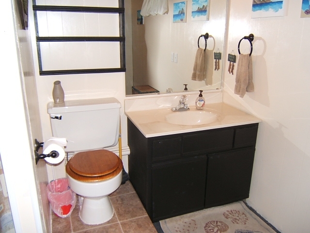 1383 Craig Robertson Road Southeast Roanoke, VA 24014 - Photo 19 of 40 Bath Down