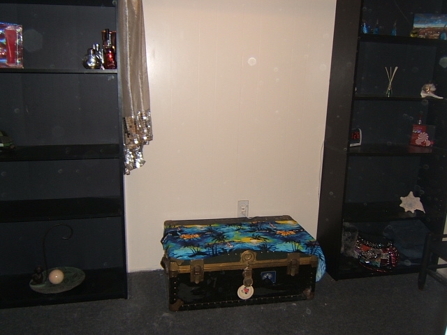 1383 Craig Robertson Road Southeast Roanoke, VA 24014 - Photo 21 of 40 Shelves
