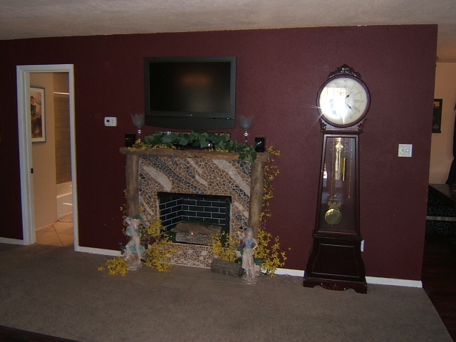 1383 Craig Robertson Road Southeast Roanoke, VA 24014 - Photo 4 of 40 Fireplace