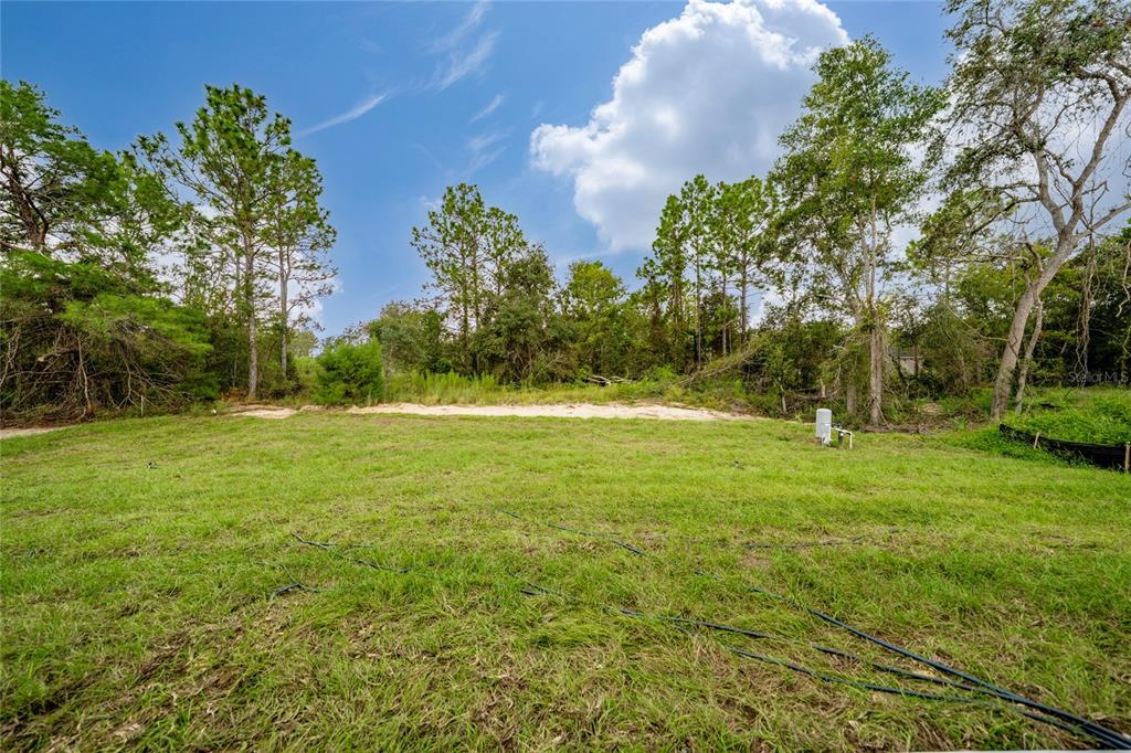 8922 Southwest 135th Street Road Ocala, FL 34473 - Photo 34 of 44 a view of outdoor space with garden and trees