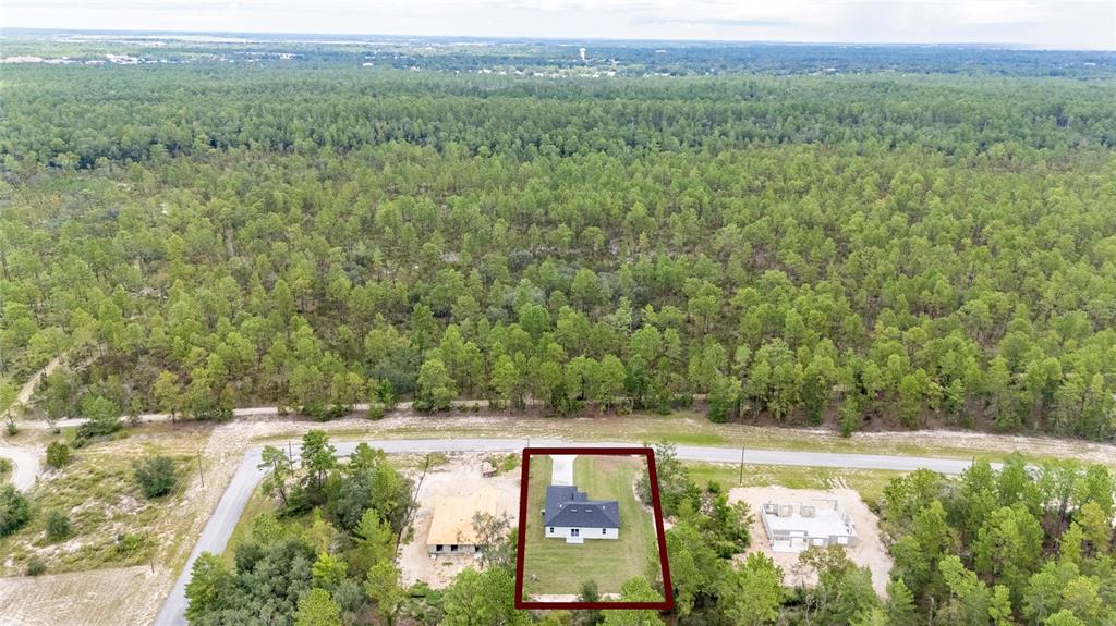 8922 Southwest 135th Street Road Ocala, FL 34473 - Photo 42 of 44 a view of a forest with a yard
