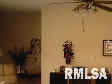 3206 West Lakeview Road Marion, IL 62959 - Photo 3 of 9 Gallery Image 3