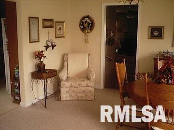 3206 West Lakeview Road Marion, IL 62959 - Photo 4 of 9 Gallery Image 4
