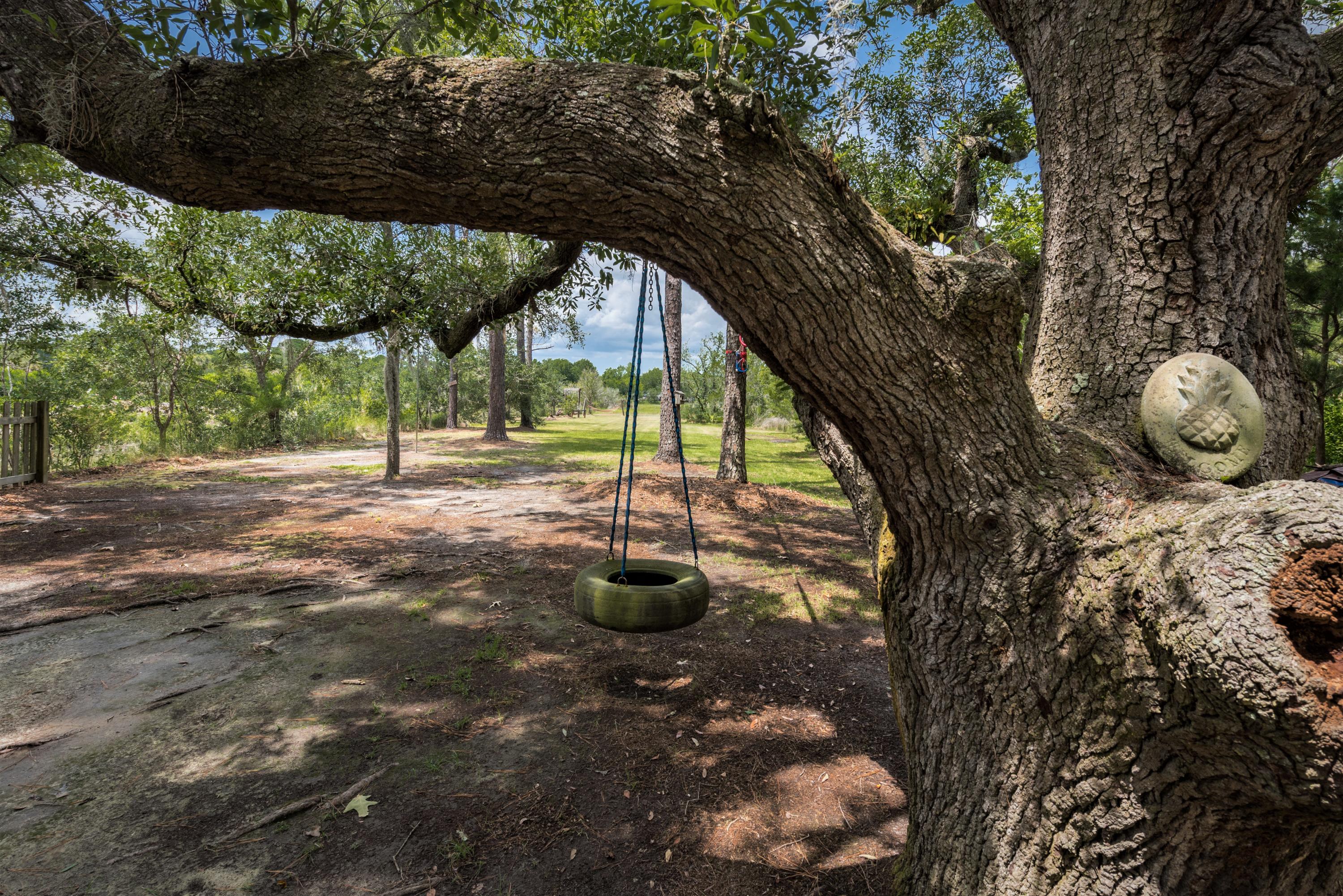 224 Wappoo Road Charleston, SC 29407 - Photo 42 of 45 tire swing