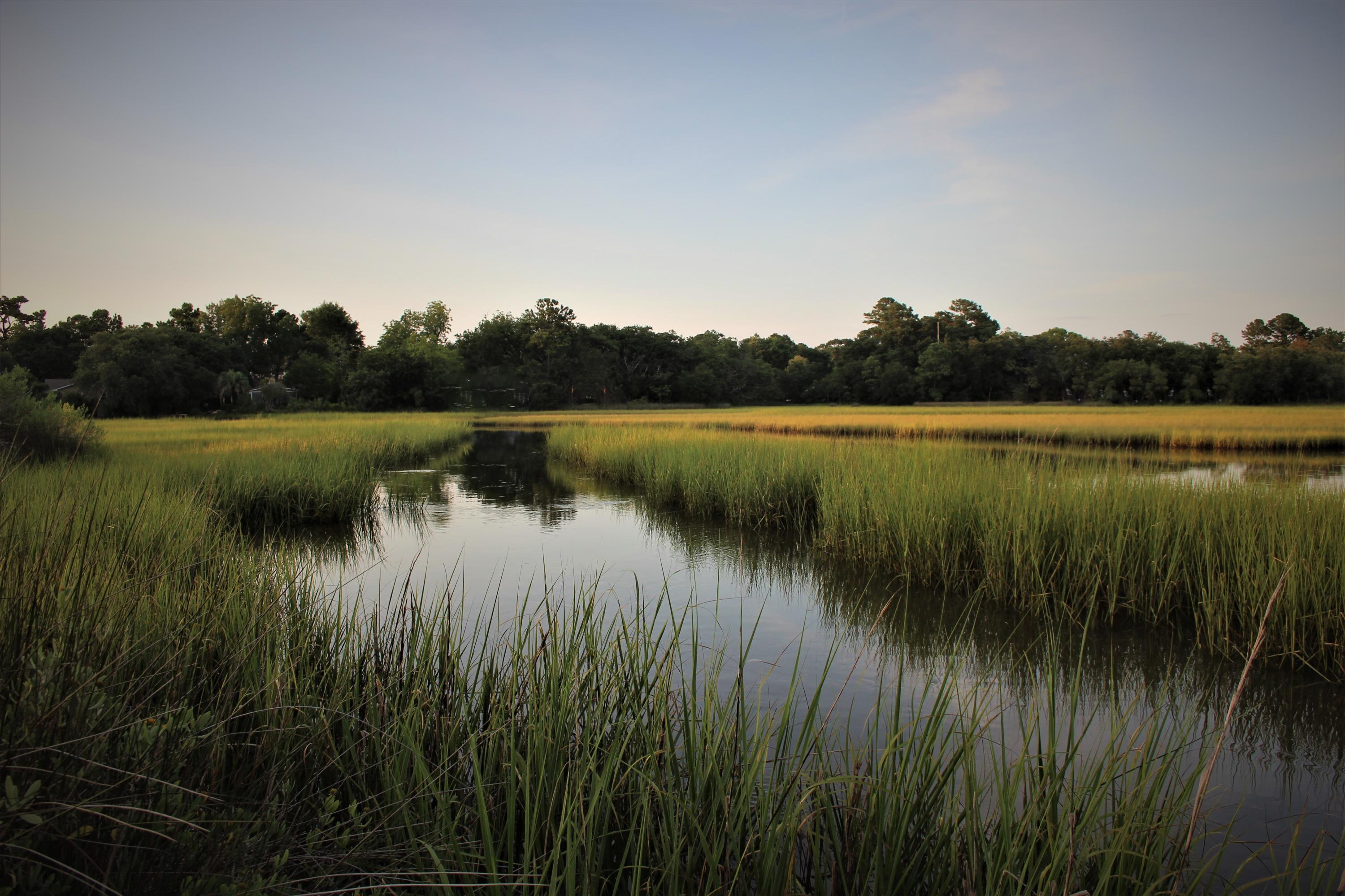 224 Wappoo Road Charleston, SC 29407 - Photo 44 of 45 a wide creek