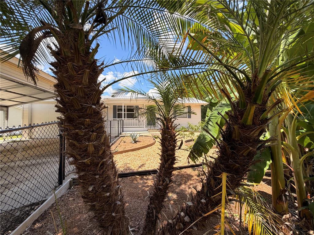 24521 Alligator Road Astor, FL 32102 - Photo 41 of 51 a view of a house with a tree