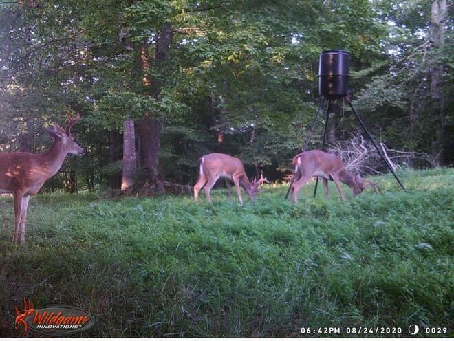 560 C C Riddle Road Burkesville, KY 42717 - Photo 11 of 32 20241217185207571064000000-o