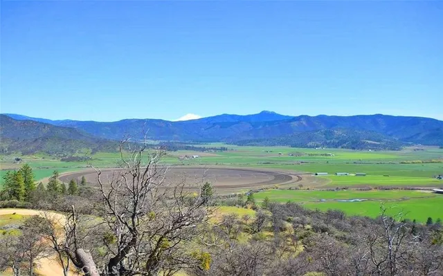 a view of a lush green field with mountains in the background