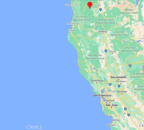 a view of an lush green forest