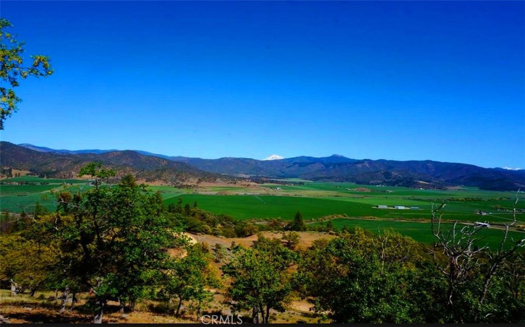 0 Scott River Road Fort Jones, CA 96032 - Photo 14 of 16 a view of an lush green forest