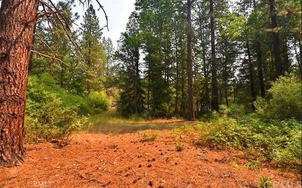 $111,000 | 0 Scott River Road, Fort Jones, CA 96032