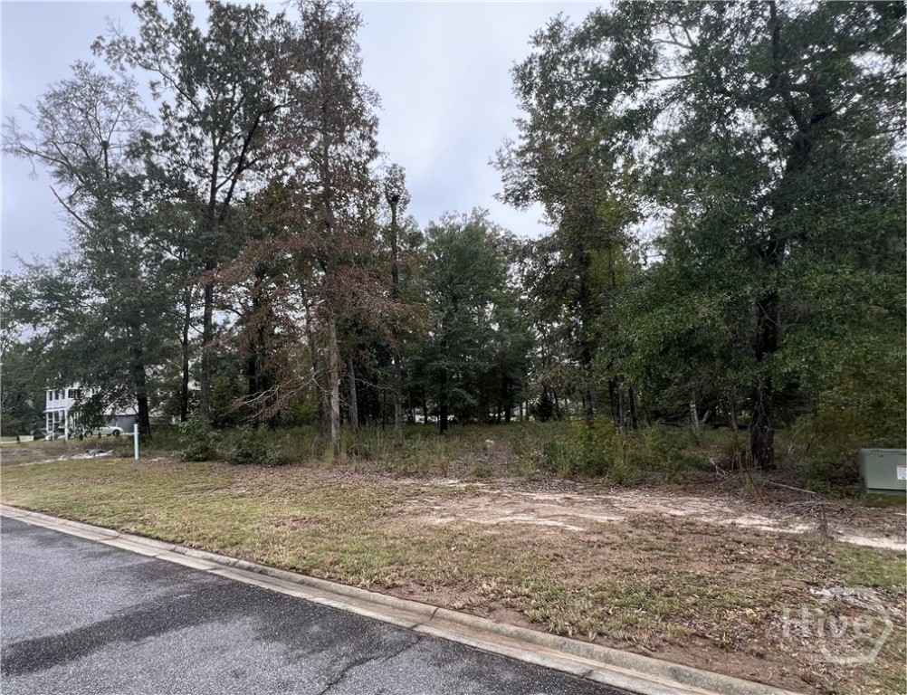 104 Speir Court Rincon, GA 31326 - Photo 11 of 11 Stree View