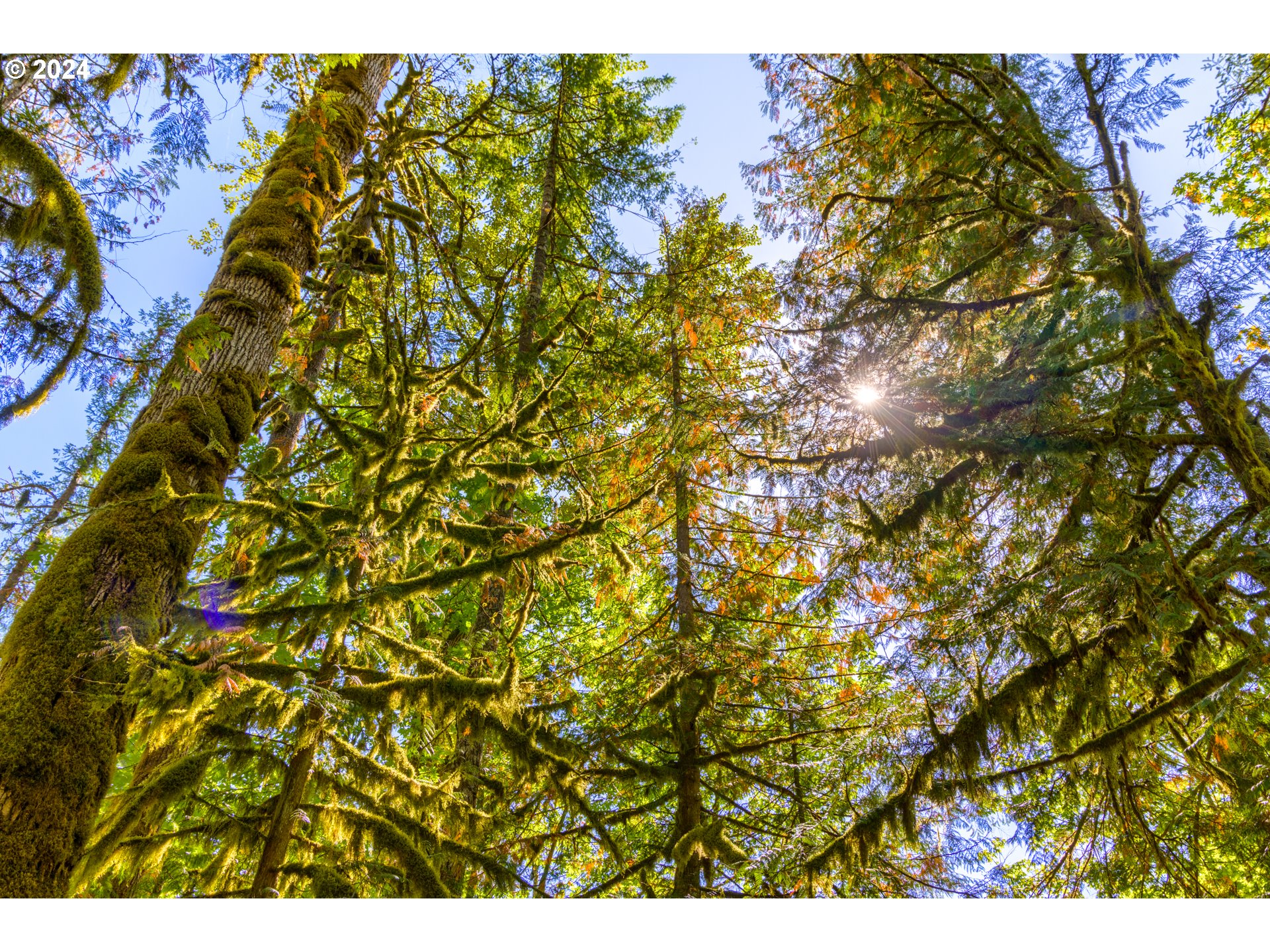 58200 East Marmot Road Sandy, OR 97055 - Photo 14 of 48