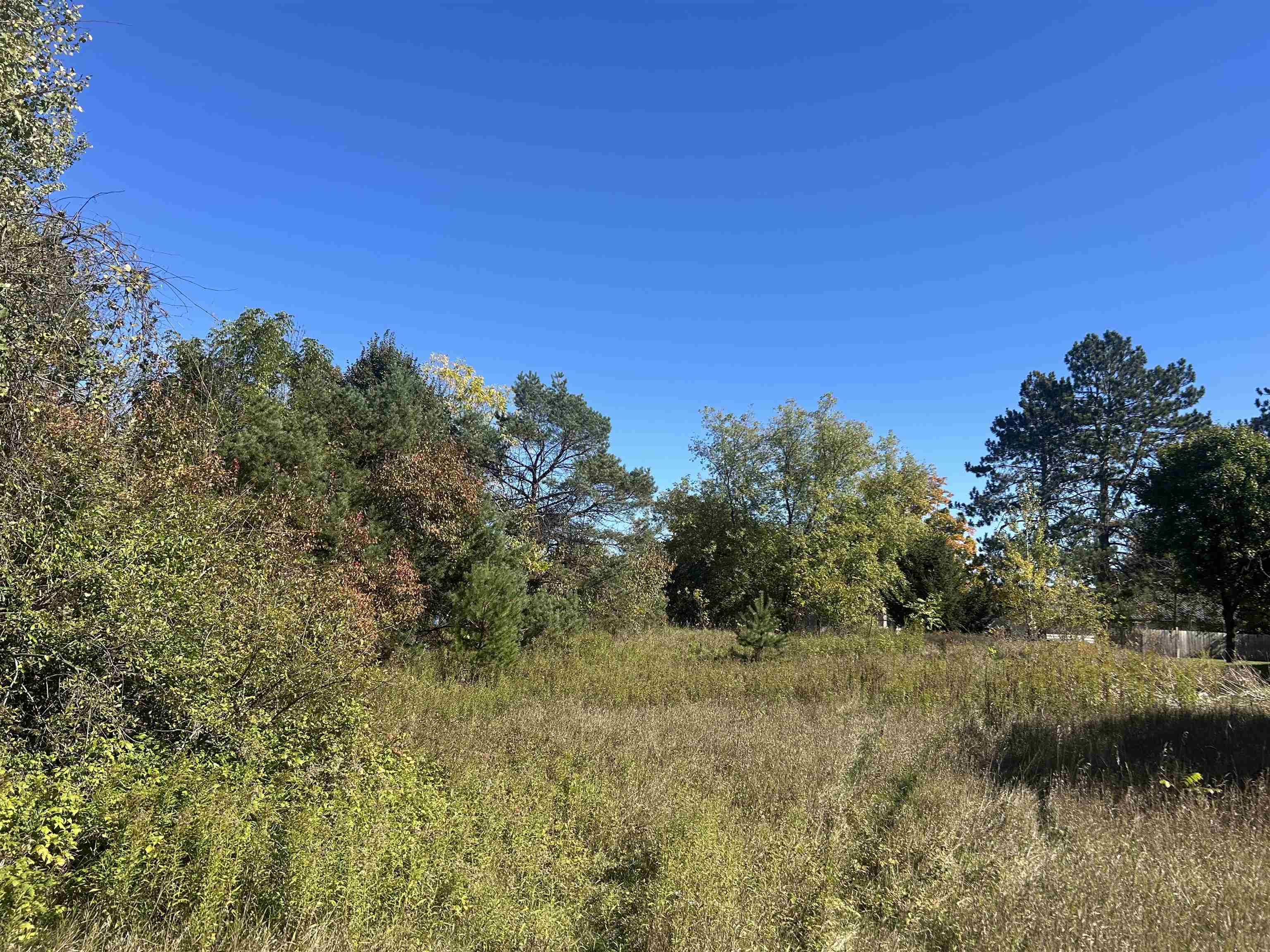 Knoke Street Gresham, WI 54128 - Photo 1 of 1