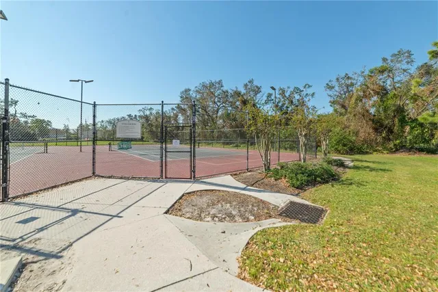 a view of a park with large trees