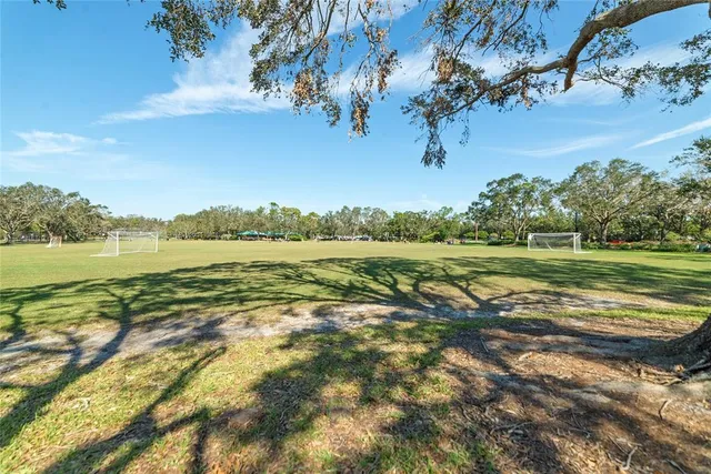 a view of a field with an trees