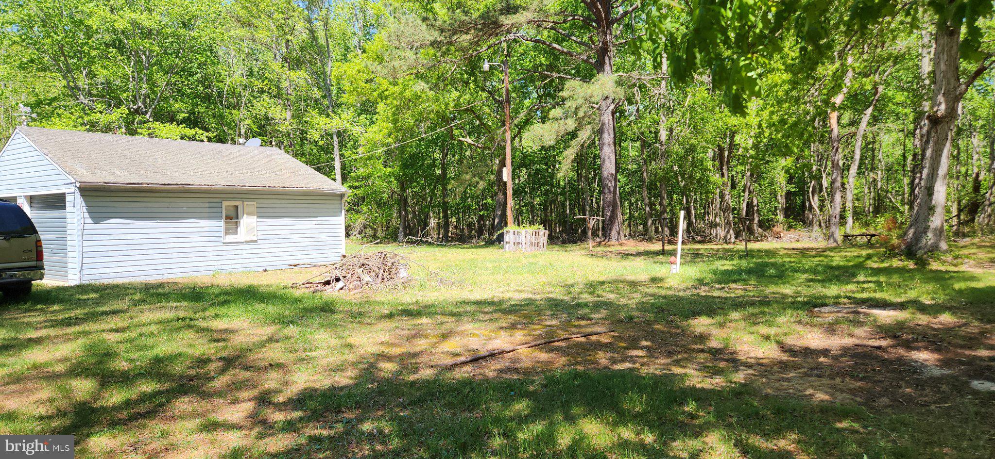 4310 Bethlehem Road Preston, MD 21655 - Photo 16 of 16 Serene retreat amidst lush greenery.