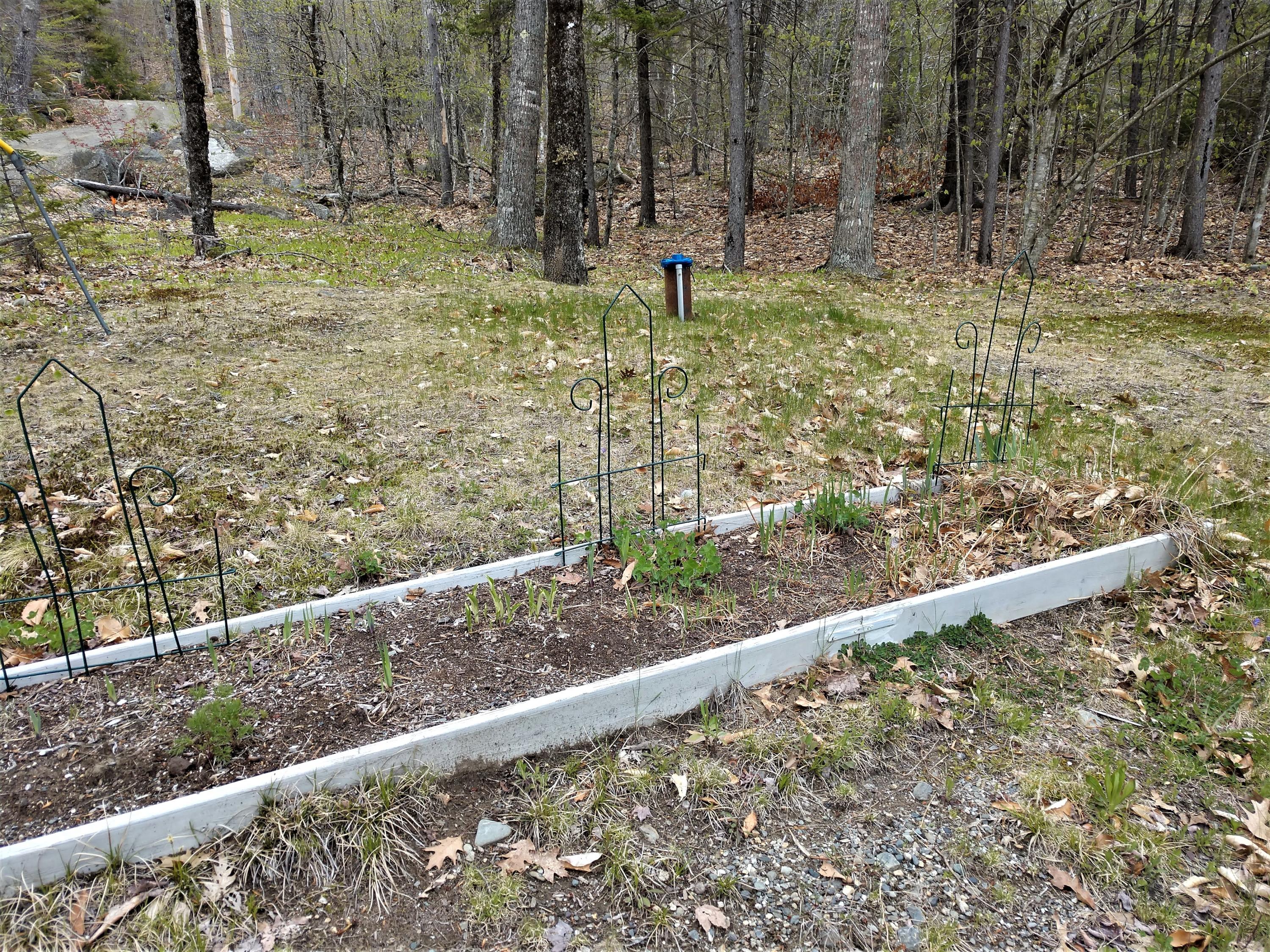 31 Orpine Road Dedham, ME 04429 - Photo 47 of 54 Drilled Well