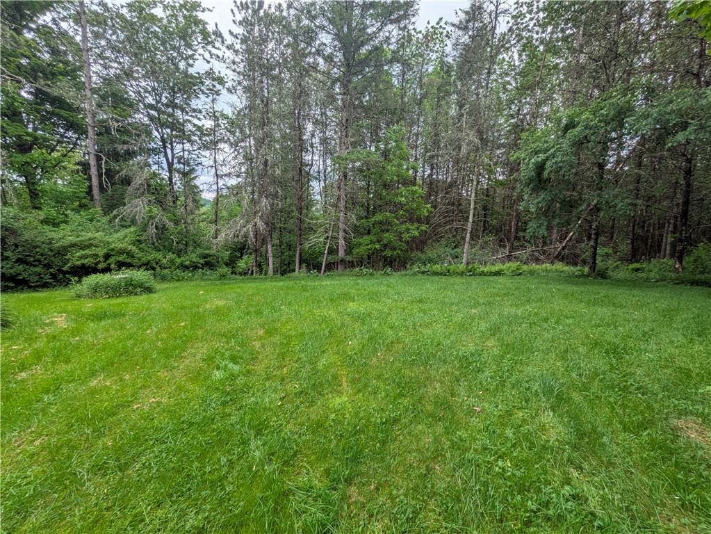881 Thomson Cross Road Delancey, NY 13752 - Photo 27 of 35