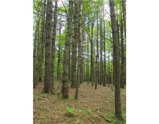 Lot 3 East Pond Road Smithfield, ME 04978 - Photo 7 of 13 Land. Getting into the pines