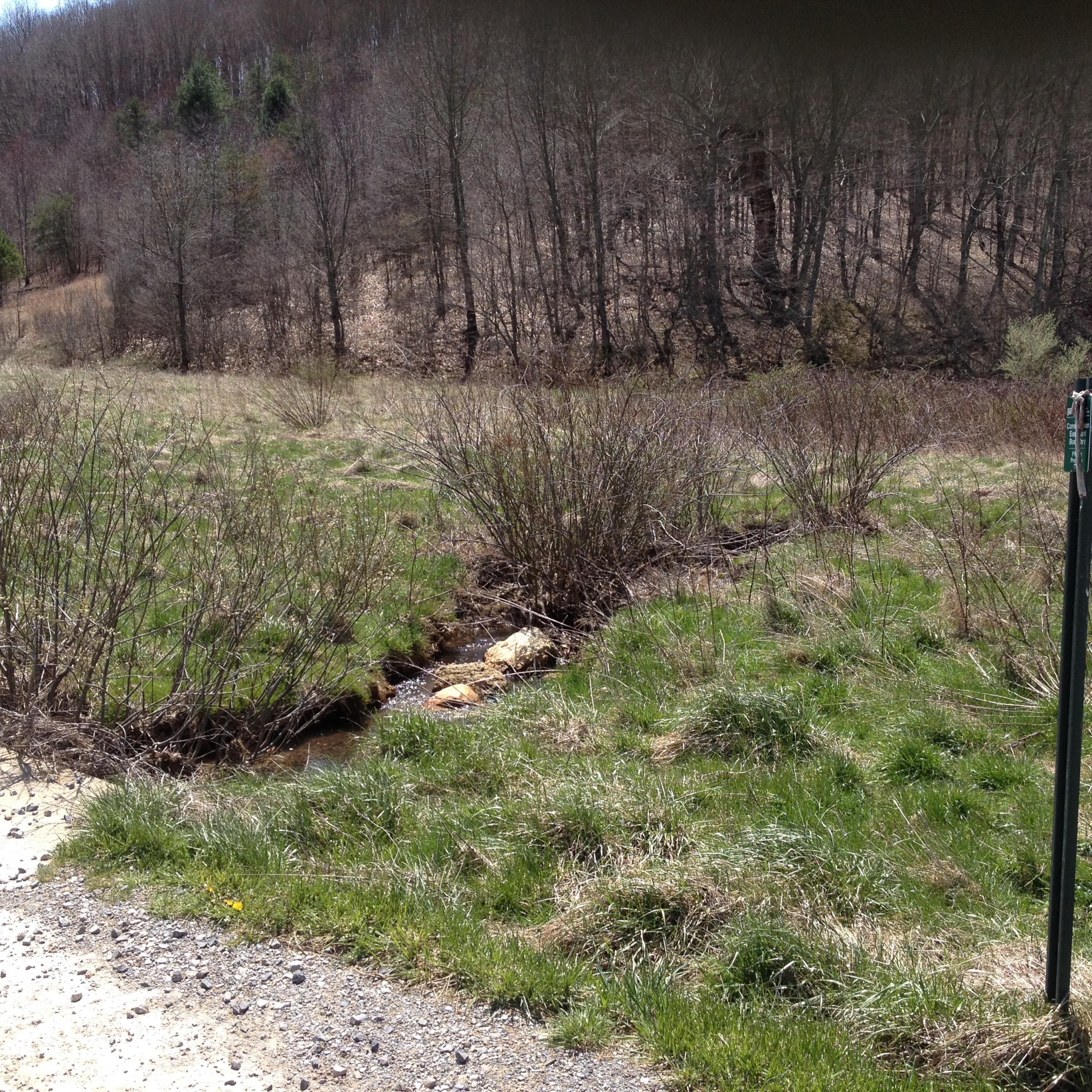0 Poorhouse Farm Road New Castle, VA 24127 - Photo 1 of 5 main view