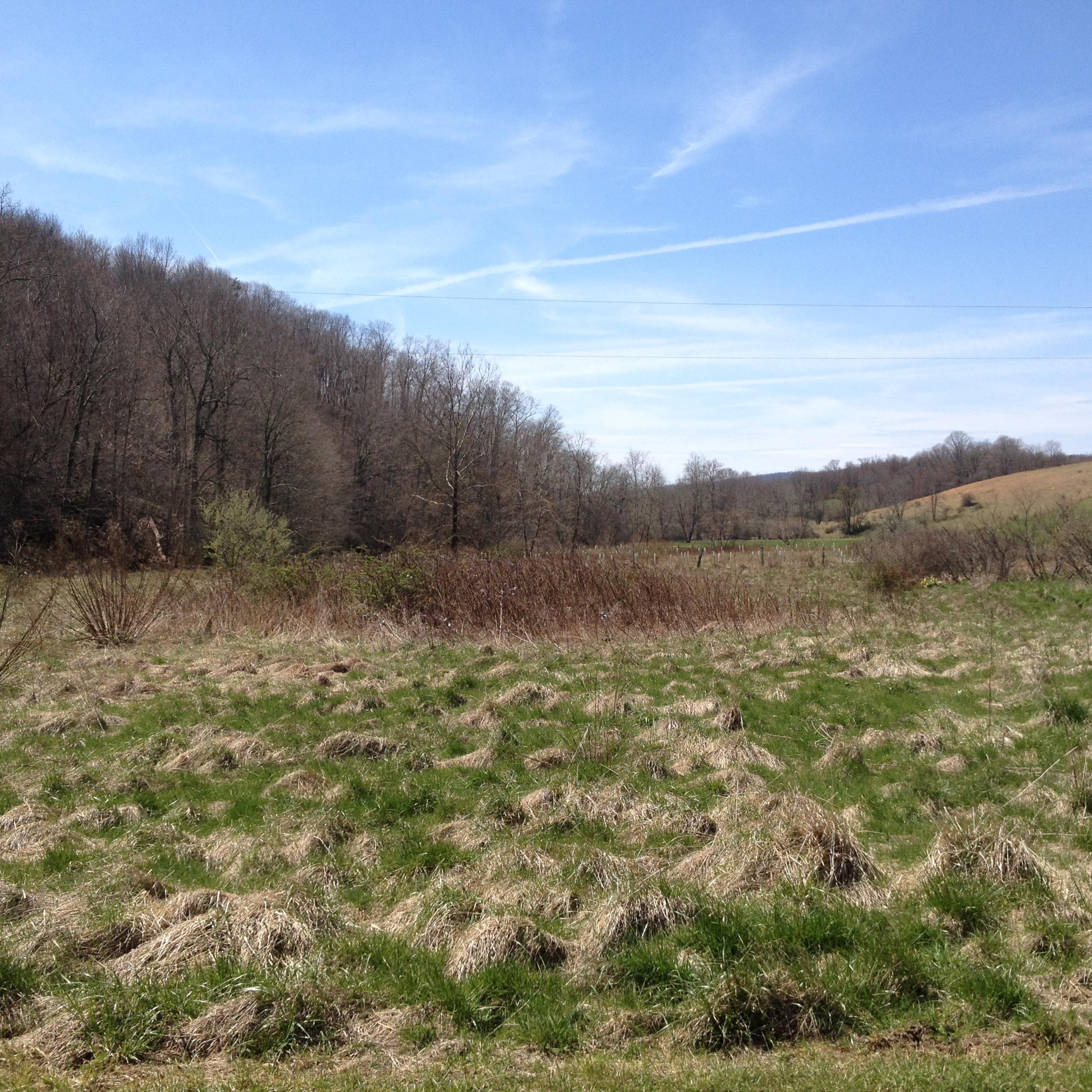 0 Poorhouse Farm Road New Castle, VA 24127 - Photo 2 of 5 lower field