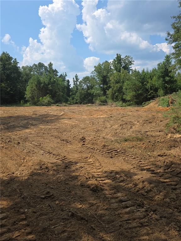 Tbd Hamp Lea Road Magnolia, MS 39652 - Photo 3 of 7