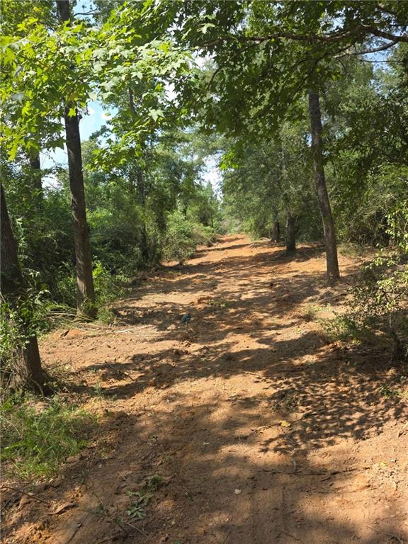 Tbd Hamp Lea Road Magnolia, MS 39652 - Photo 4 of 7