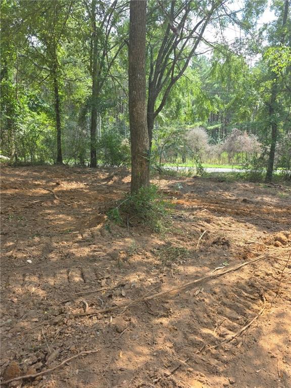 Tbd Hamp Lea Road Magnolia, MS 39652 - Photo 5 of 7
