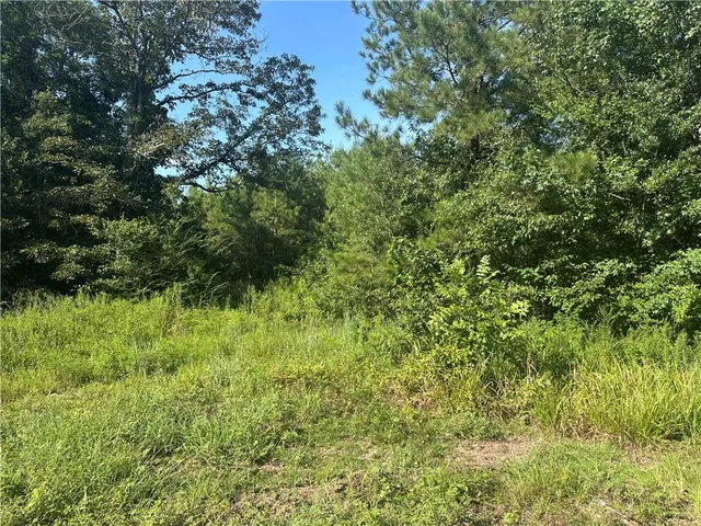 $77,700 | Tbd Hamp Lea Road, Magnolia, MS 39652