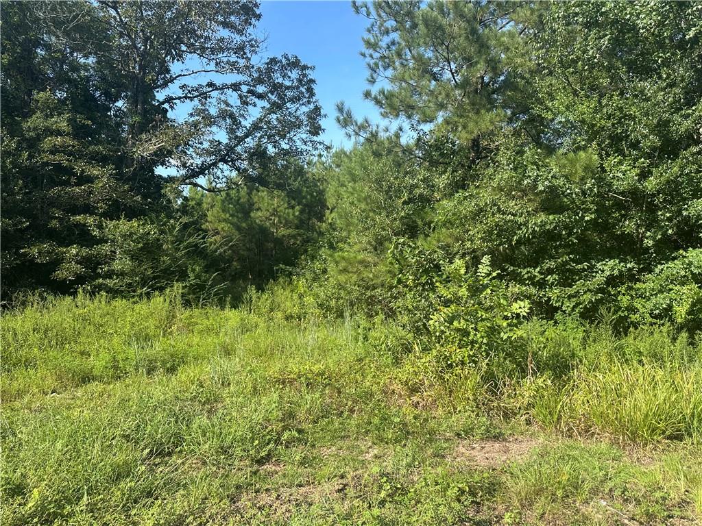 Tbd Hamp Lea Road Magnolia, MS 39652 - Photo 7 of 7