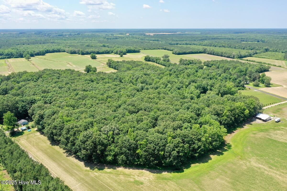 141 Arthur Majette Road Aulander, NC 27805 - Photo 68 of 115 21