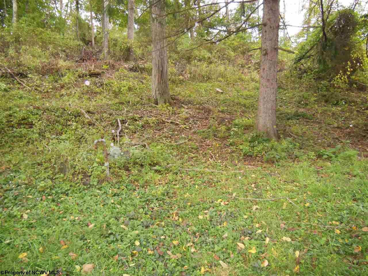 554 Maple Bridgeport, WV 26330 - Photo 11 of 13 Gallery Image 11